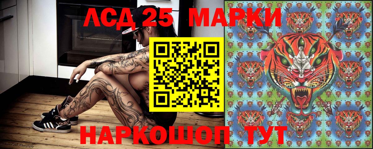 Меф Кострома